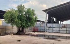 For Rent: Juru Industrial Warehouse